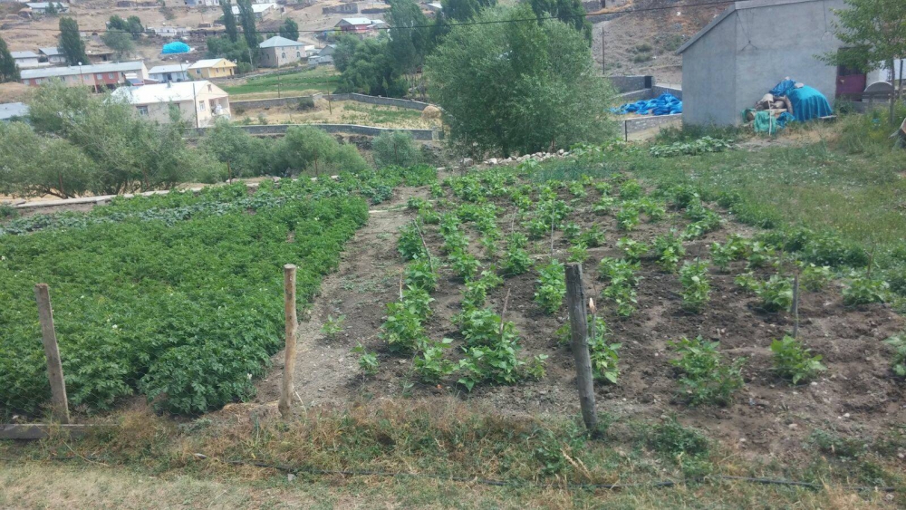 Sarıkamış Topkaya Köyü Resimleri 7