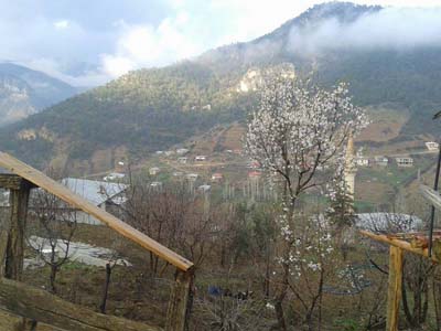 Adana Saimbeyli Yardibi Köyü Resimleri 10