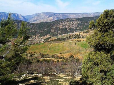 Adana Saimbeyli Yardibi Köyü Resimleri 16