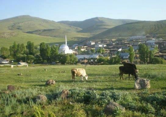 Sarıkamış Uzungazi Köyü Resimleri 3