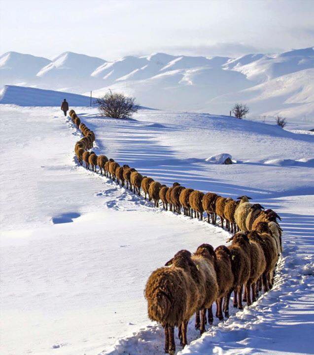 Sarıkamış Uzungazi Köyü Resimleri 4