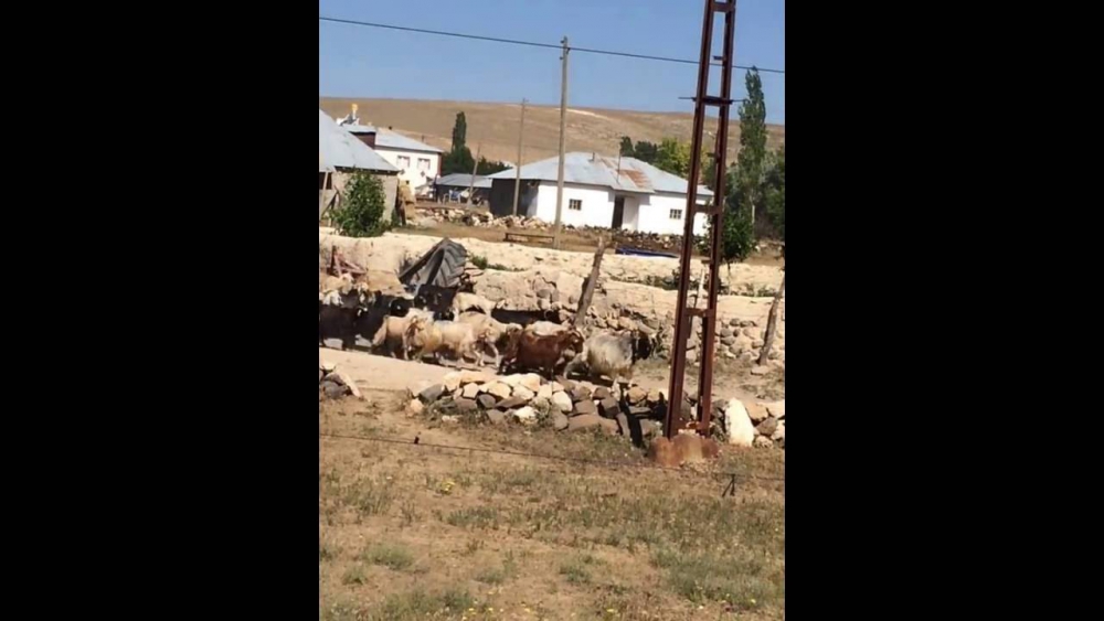 Gürün Yolgeçen Köyü Resimleri 11