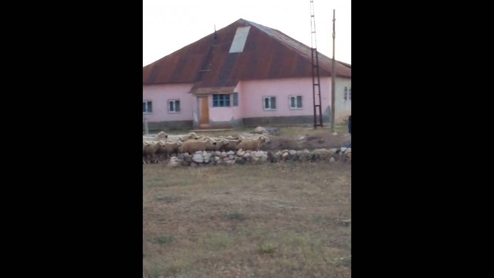 Gürün Yolgeçen Köyü Resimleri 7