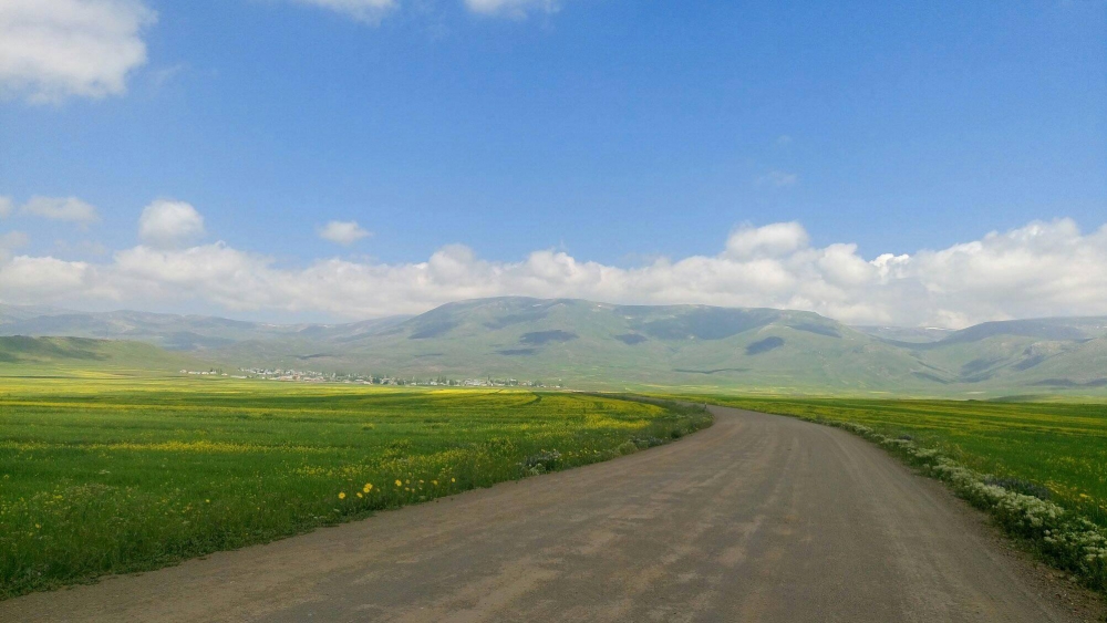 Selim Akçakale Köyü Resimleri 13