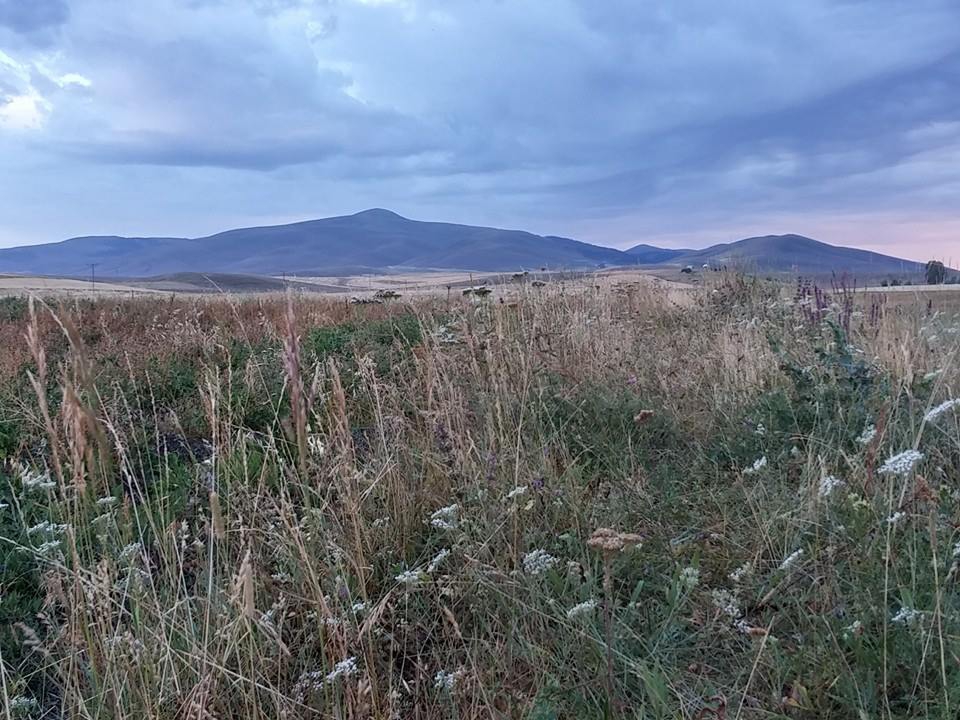 Selim Akpınar Köyü Resimleri 9