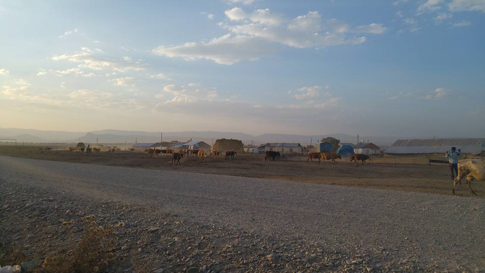 Selim Alisofu Köyü Resimleri 2