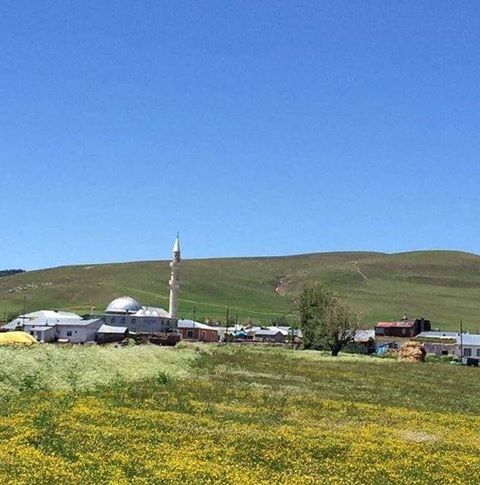 Selim Aşağı Damlapınar Köyü Resimleri 1