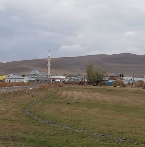 Selim Aşağı Damlapınar Köyü Resimleri 3