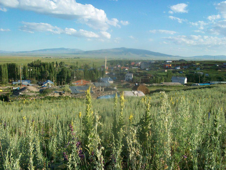 Selim Bayburt Köyü Resimleri 2