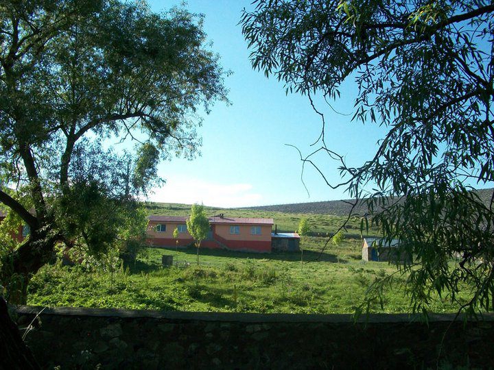 Selim Bayburt Köyü Resimleri 6