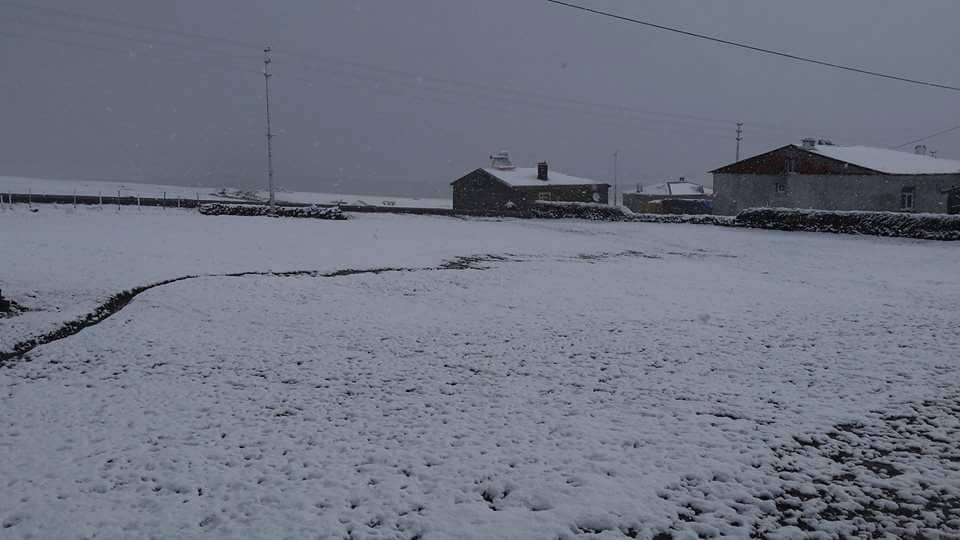 Selim Büyük Oluklu Köyü Resimleri 1