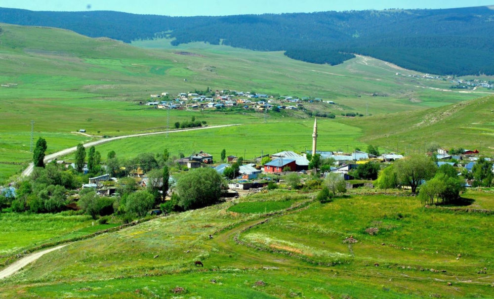 Selim Çıplaklı Köyü Resimleri 1