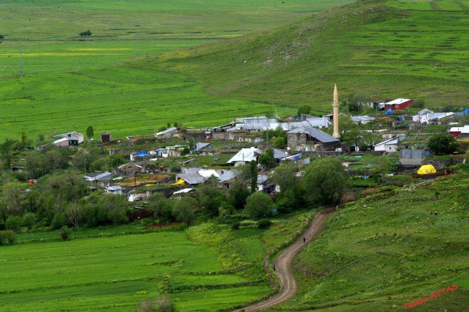 Selim Çıplaklı Köyü Resimleri 7