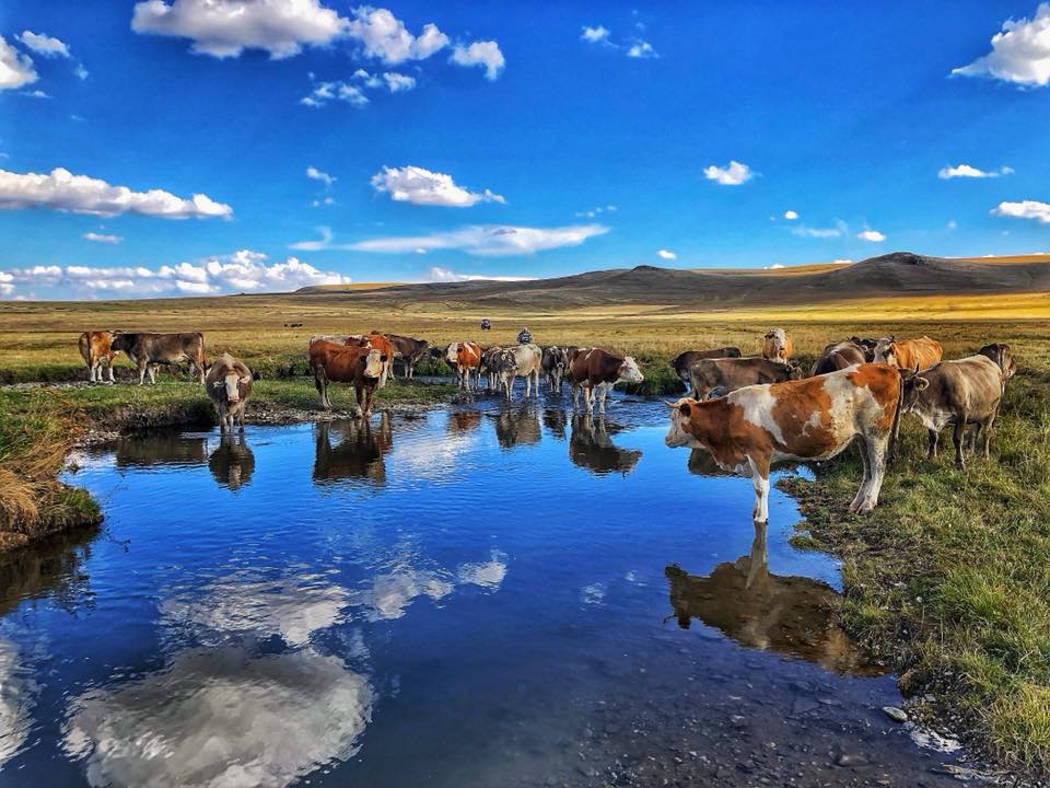 Selim Çıplaklı Köyü Resimleri 8