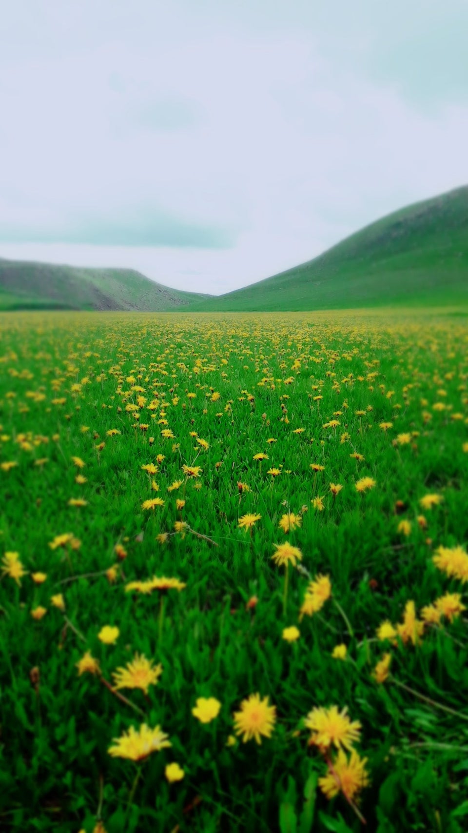 Selim Darboğaz Köyü Resimleri 2