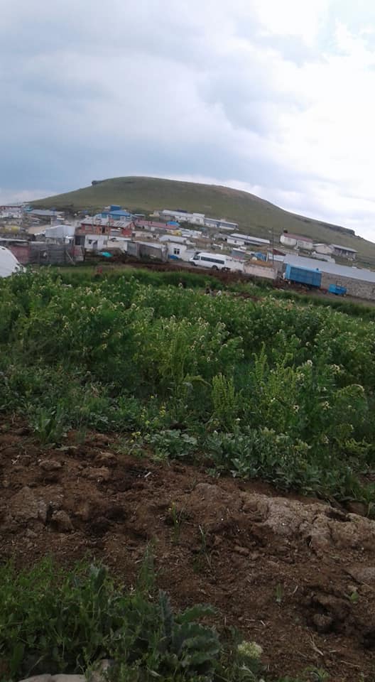 Selim Gelinalan Köyü Resimleri 3