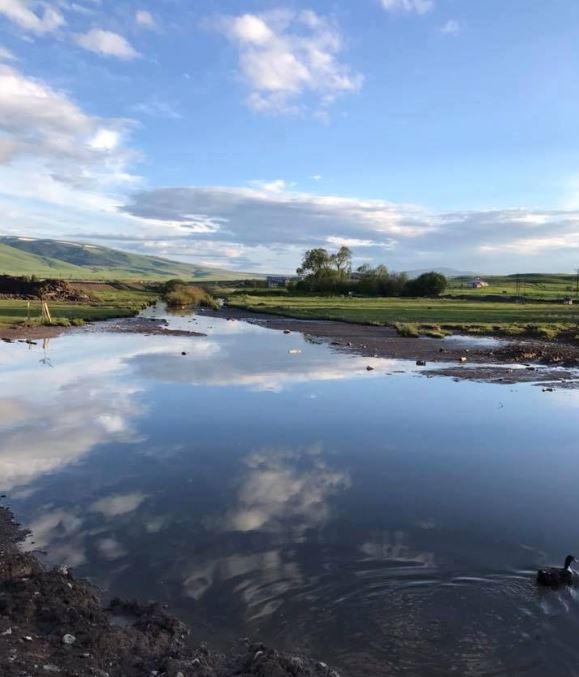 Selim Karahamza Köyü Resimleri 3