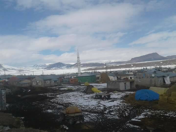 Selim Katranlı Köyü Resimleri 3