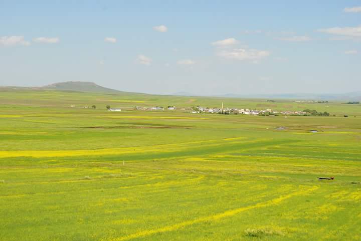 Selim Kekeç Köyü Resimleri 11