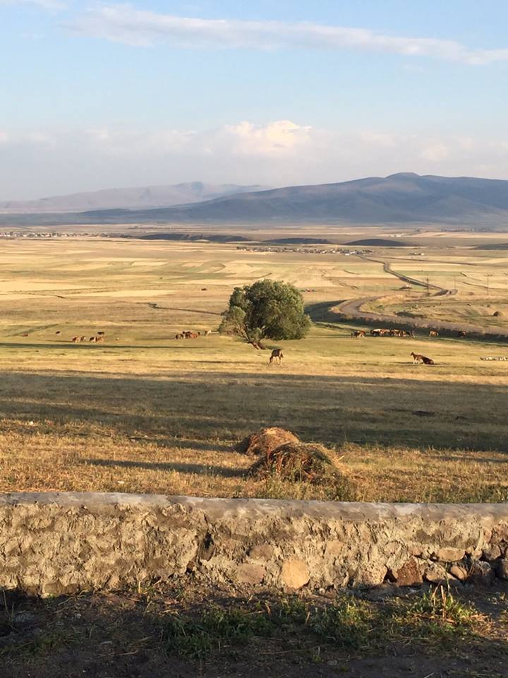 Selim Koşapınar Köyü Resimleri 4