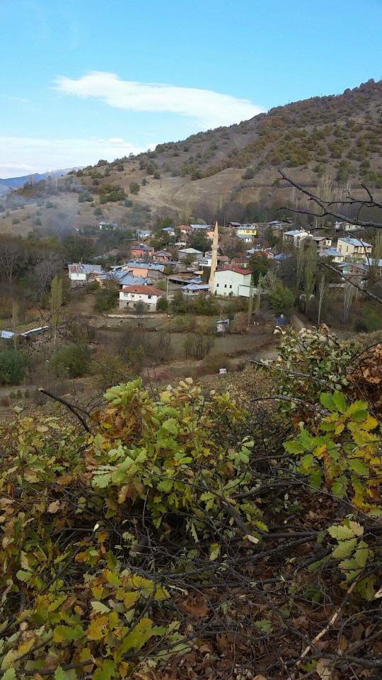Hafik Alibeyli Köyü Resimleri 10
