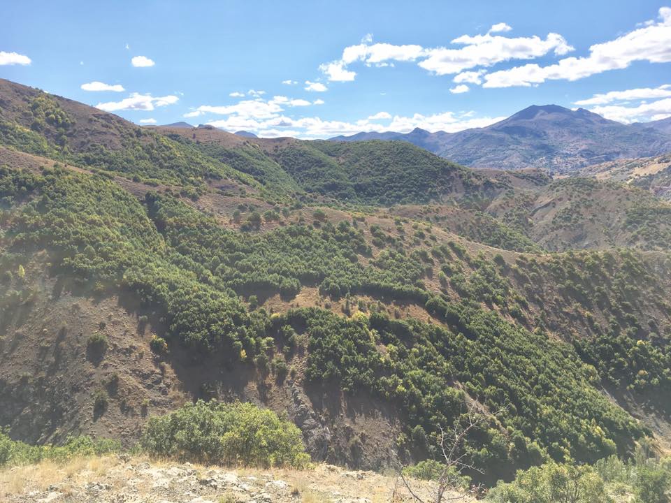 Hafik Alibeyli Köyü Resimleri 12