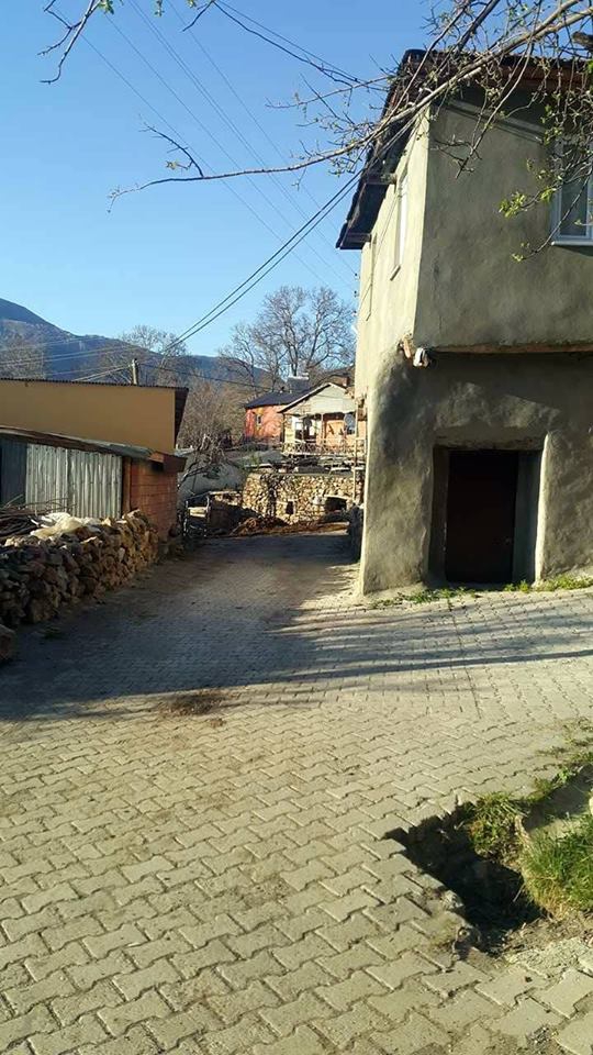 Hafik Alibeyli Köyü Resimleri 18