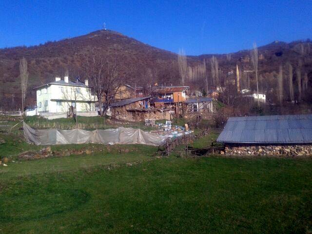 Hafik Alibeyli Köyü Resimleri 3