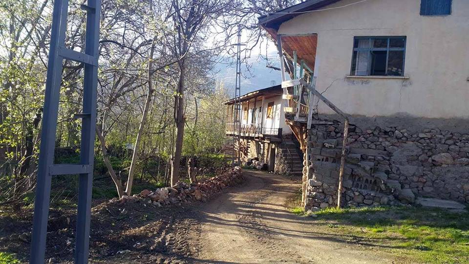 Hafik Alibeyli Köyü Resimleri 31