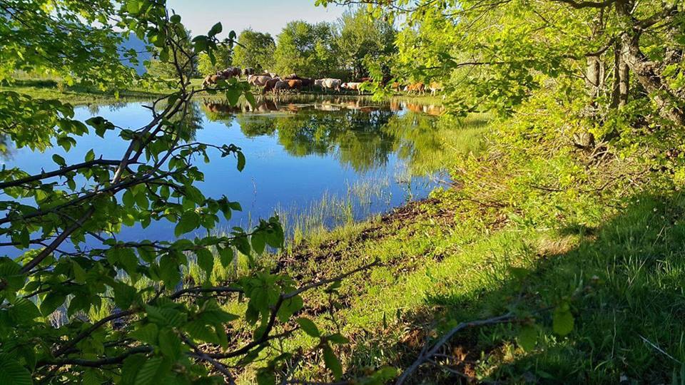 Hafik Alibeyli Köyü Resimleri 33