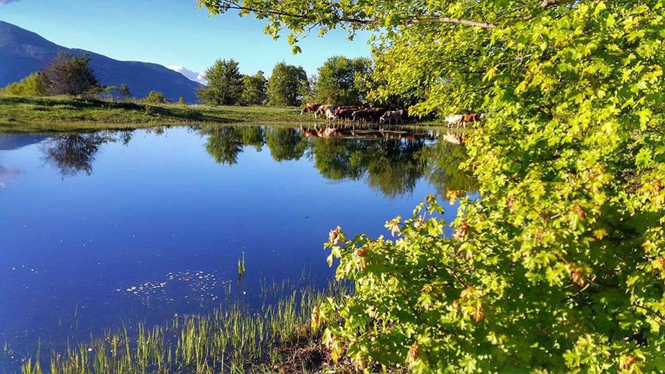 Hafik Alibeyli Köyü Resimleri 34