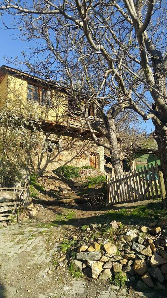 Hafik Alibeyli Köyü Resimleri 35