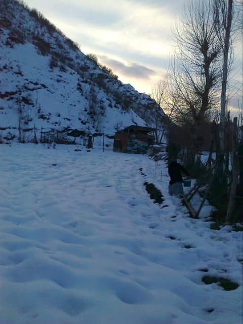 Hafik Alibeyli Köyü Resimleri 6