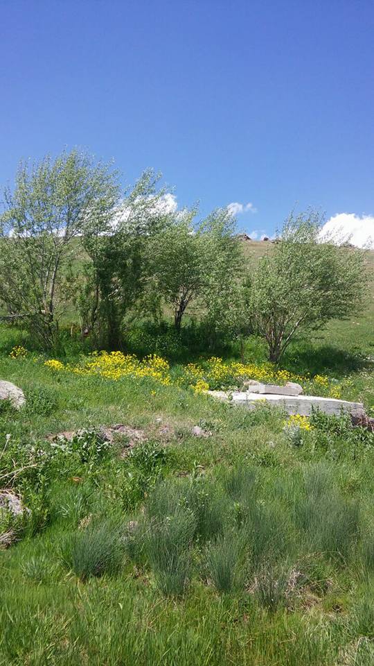 Selim Laloğlu Köyü Resimleri 4