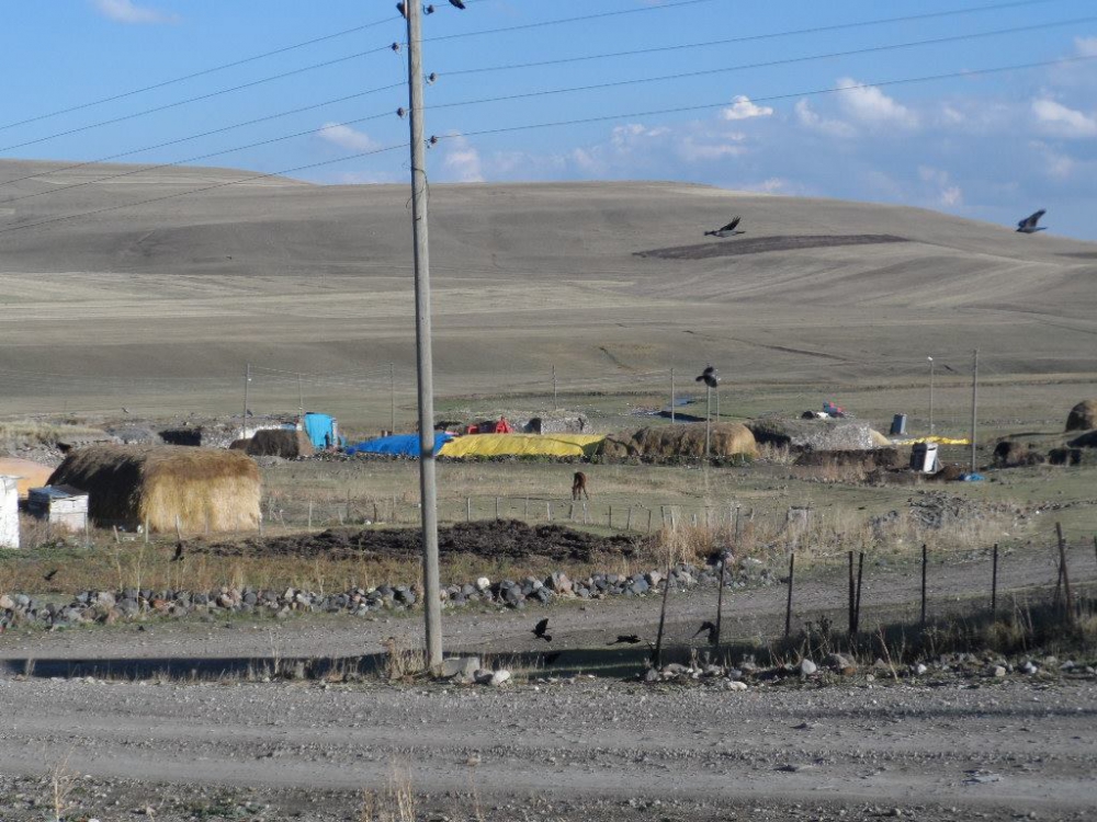 Selim Ortakale Köyü Resimleri 5