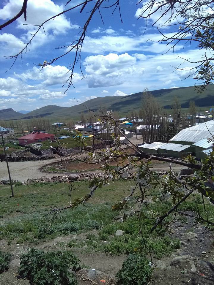 Selim Sarıgün Köyü Resimleri 4