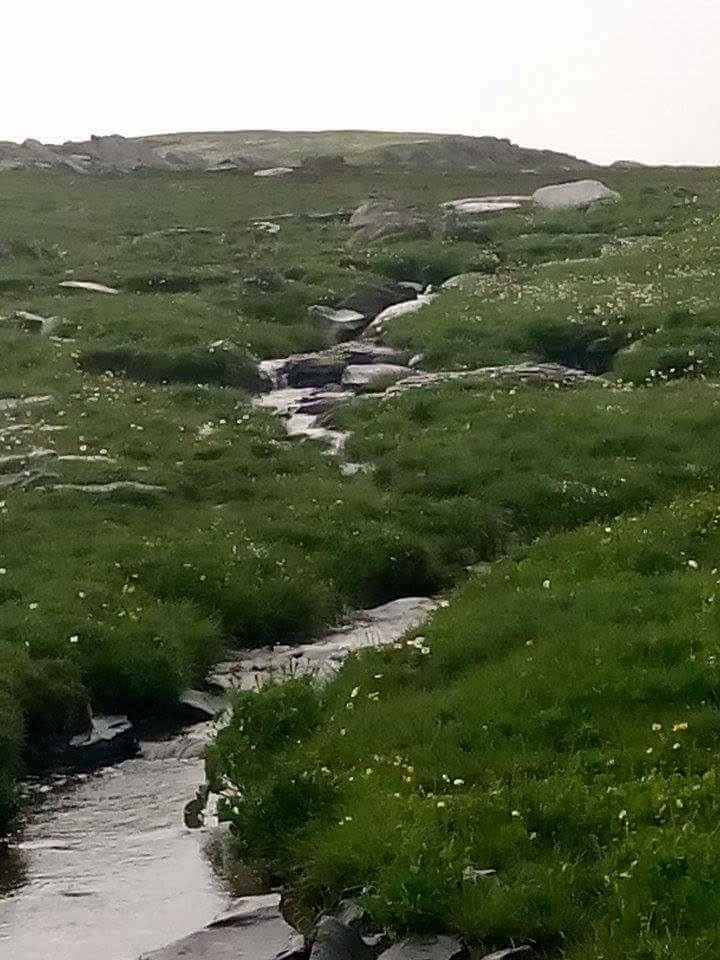 Selim Sarıgün Köyü Resimleri 5