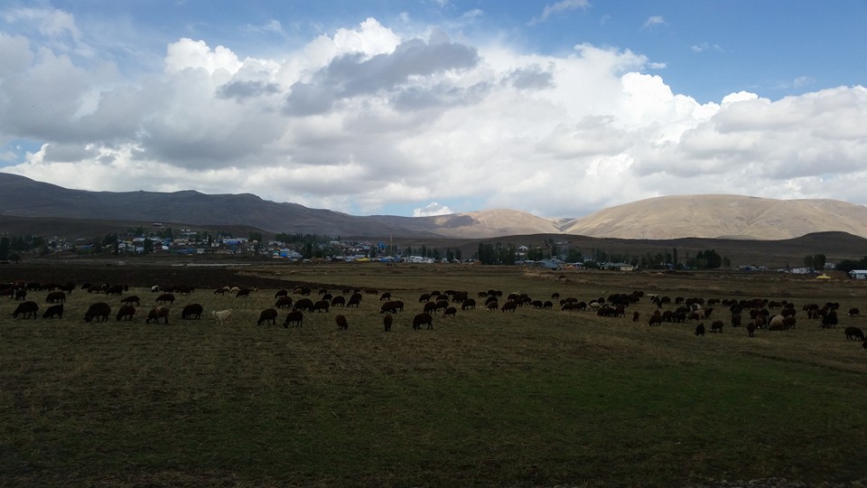 Selim Sarıgün Köyü Resimleri 9