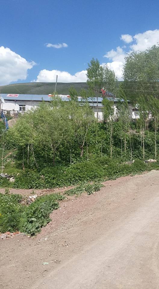 Selim Tuygun Köyü Resimleri 6