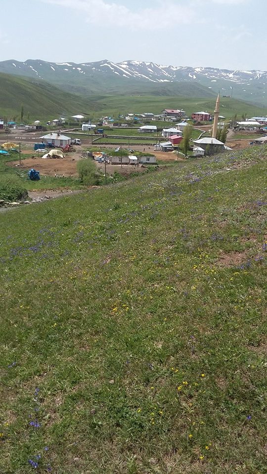 Selim Tuygun Köyü Resimleri 7