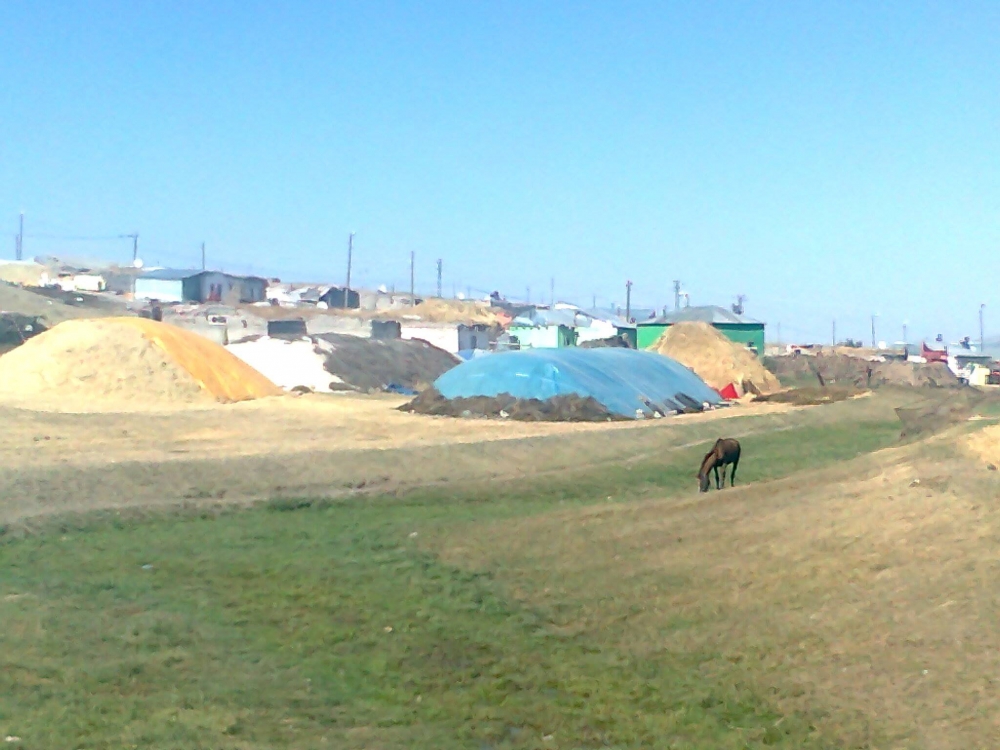 Selim Yamaçlı Köyü Resimleri 2