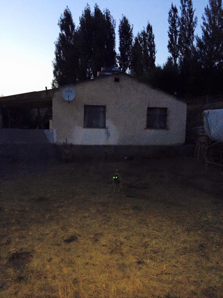 Hafik Alçıören Köyü Resimleri 3