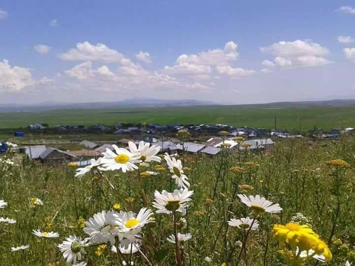 Selim Yukarıdamlapınar Köyü Resimleri 1