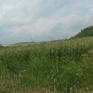 Adana Saimbeyli Yeniköy Resimleri 10