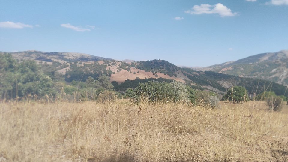 Hafik Beydili Köyü Resimleri 1