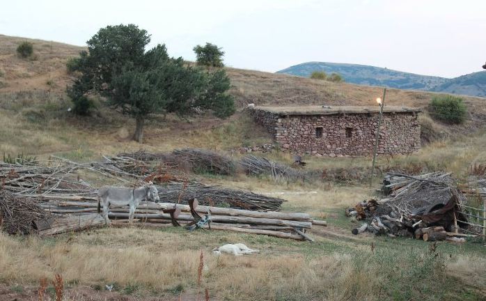 Hafik Beydili Köyü Resimleri 12