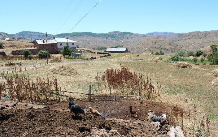 Hafik Beydili Köyü Resimleri 13