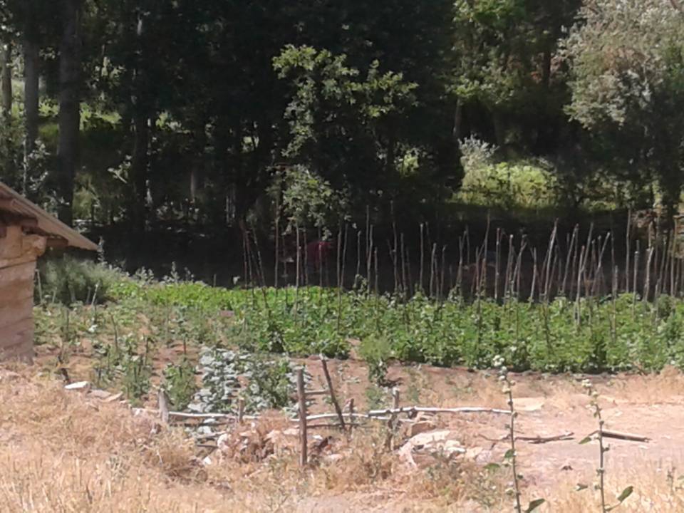 Hafik Beydili Köyü Resimleri 17