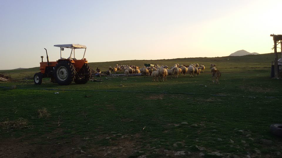 Kaman Tepeköy Köyü Resimleri 1