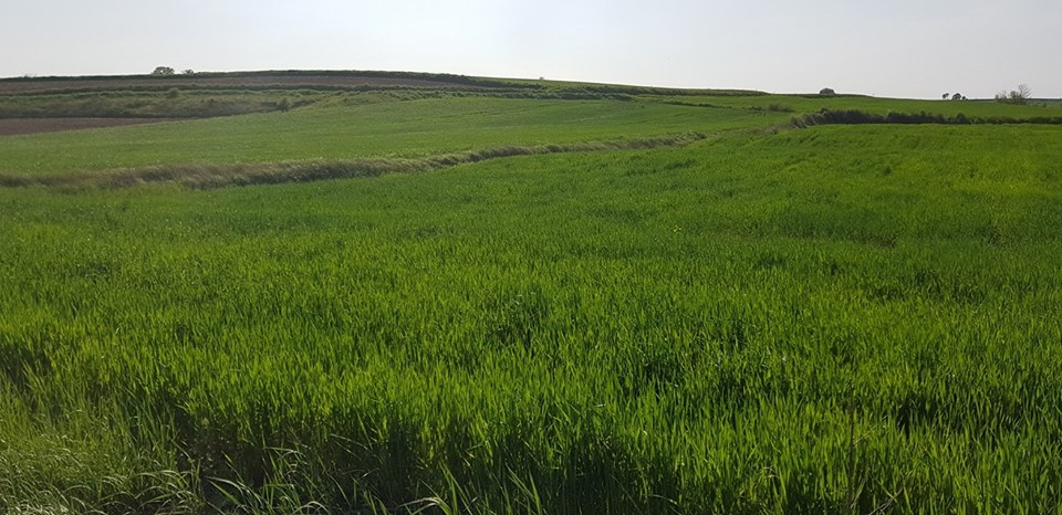 Havsa Abalar Köyü Resimleri 1